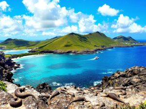 Scenic view of Komodo Island with turquoise waters and hills.