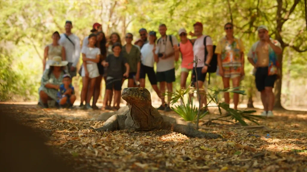 Komodo Dragon Tour | Komodo Island Tour | Komodo Luxury