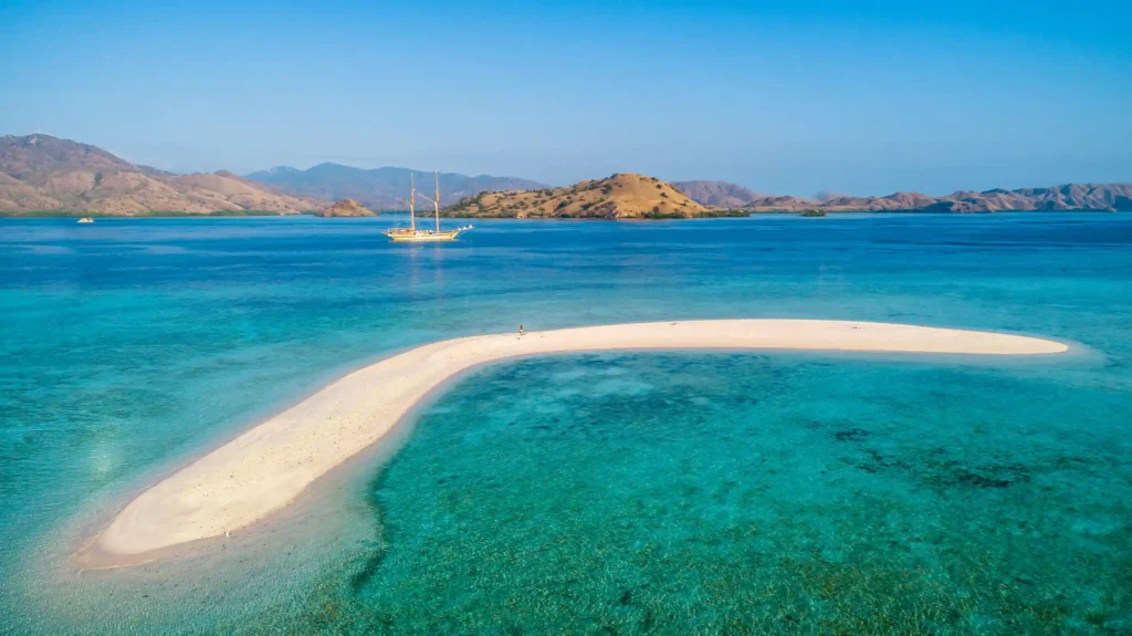 Komodo Dragon Tour | Komodo Island Tour | Komodo Luxury