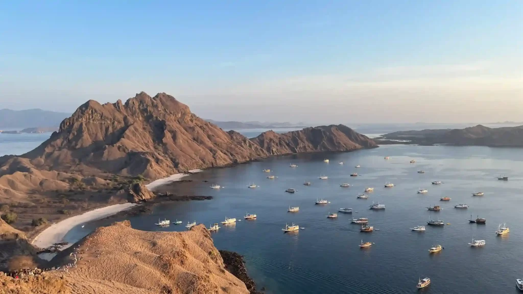 Komodo Dragon Tour | Komodo Island Tour | Komodo Luxury