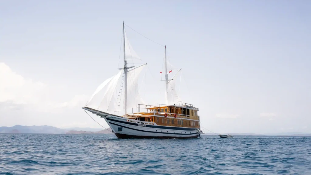Komodo Dragon Tour | Komodo Island Tour | Komodo Luxury