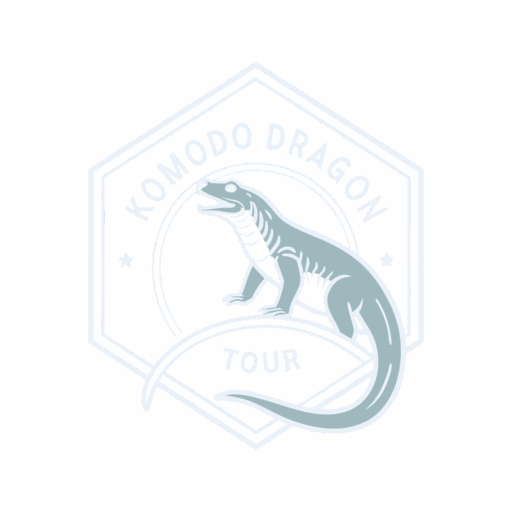 Komodo Dragon Tour | Explore with us