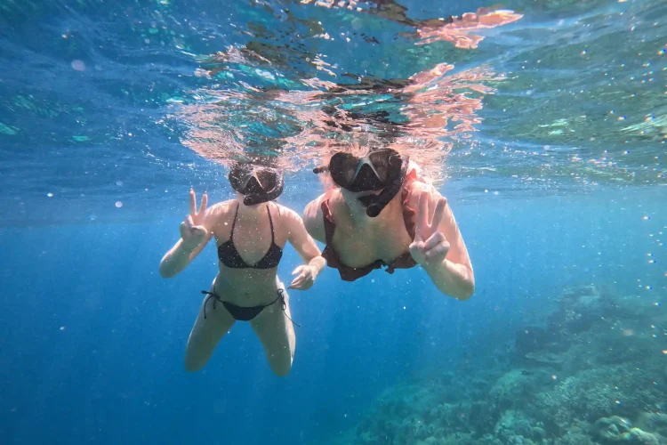 Komodo Dragon Tour | Komodo Island Tour | Komodo Luxury