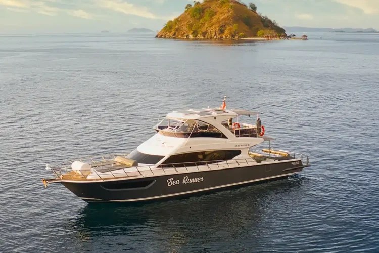 Komodo Dragon Tour | Komodo Island Tour | Komodo Luxury