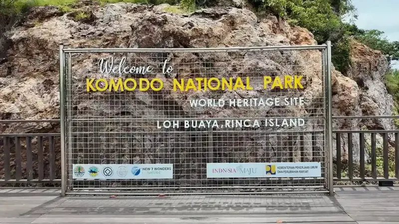 Rinca Island vs Komodo Island for seeing dragons